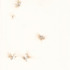 20120218192013--5