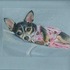 20120218194754-alice