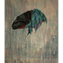 20120219011849-russell_a