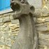 20120219012949-ghent_lion