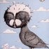 20120219162505-bird