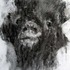 20120219172840-ovid_one