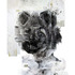20120219173229-moreau_three