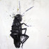 20120219174002-kafka_one