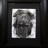 20120219175726-front_teeth