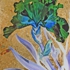 Dscn0088__2_