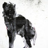 20120219180427-animal_four