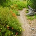 Dscn0091__2_