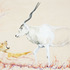20120221124958-_enough_