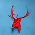 20120221125311-_wild___fluorescent_paint__pencil_and_spray_paint_on_canvas__60x60x4cm__12