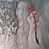 20120221133756-rose-1