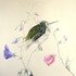 20120221161454-_bitter-sweet___oil_and_pencil_on_emulsion_on_thick_paper__49