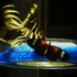 20120221181740-dscn6066