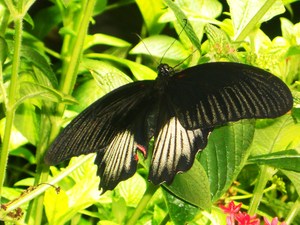 20120221182318-dscn6074