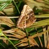 20120221182507-dscn6077