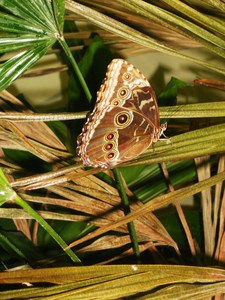 20120221182507-dscn6077