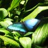 20120221182703-dscn6046
