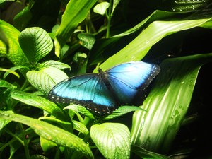 20120221182703-dscn6046