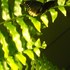 20120221182859-dscn6091