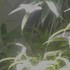20120221183243-dscn6089