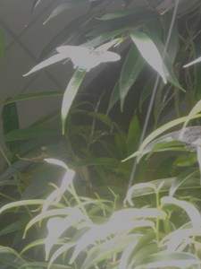 20120221183243-dscn6089