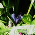 20120221183723-dscn6040