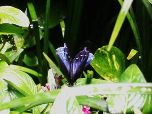 20120221183723-dscn6040