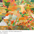 20120222045804-color_code_24x32_tvf1108_191kb_