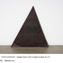 20120222050348-triangle_event_2_22x21_tvf1014_60kb