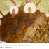 20120222050533-untitled_43x55_tvf1113_161kb_