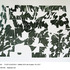 20120222050901-strata_black_ink_tvf1001