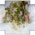 20120222081309-parentheses_med