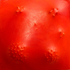 20120222134550-copy_of_vega02