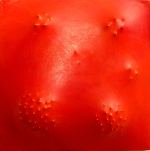20120222134550-copy_of_vega02