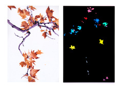 20120222202922-creative_differences_diptych