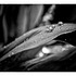 20120223020747-tiny_worlds_03