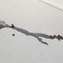 20120223142508-pp