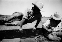 20120223192800-wondoola-cleanskin_43a_flat