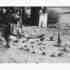 20120223220834-barbaramccullough-waterritual_1_smaller_
