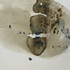 20120224164818-03_zanic_ana
