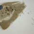 20120224165148-10_zanic_ana
