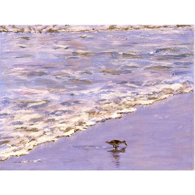 20120224200042-squaresandpiperone95