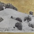20120224214908-img_2581_2