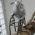 20120225071606-06__2