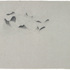 20120225134457-35