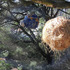 20120225214837-sld