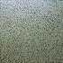 20120226013345-from_series__22moving_stills_22_2011_painting__041111_acrylic_on_canvas_67_22x67_22_