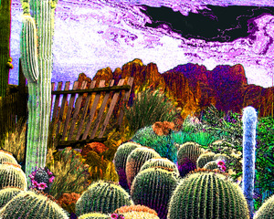 Desert Sunset,Lauren Cazden
