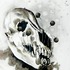 20120227220331-coyote_buckwheat