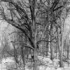 20120227232358-7857_14101